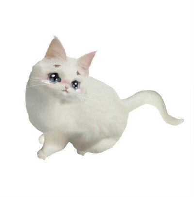存
