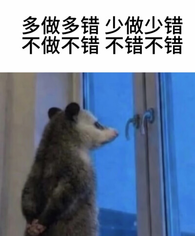 傻