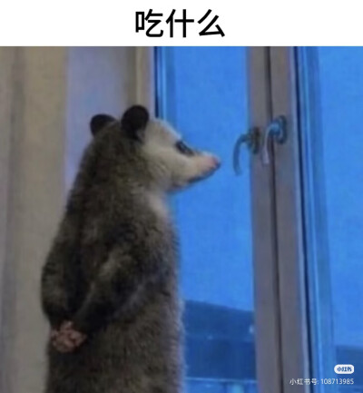 傻