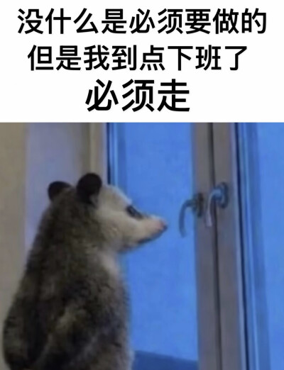 傻