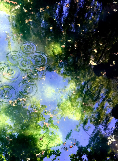 图源微博