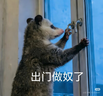 傻
