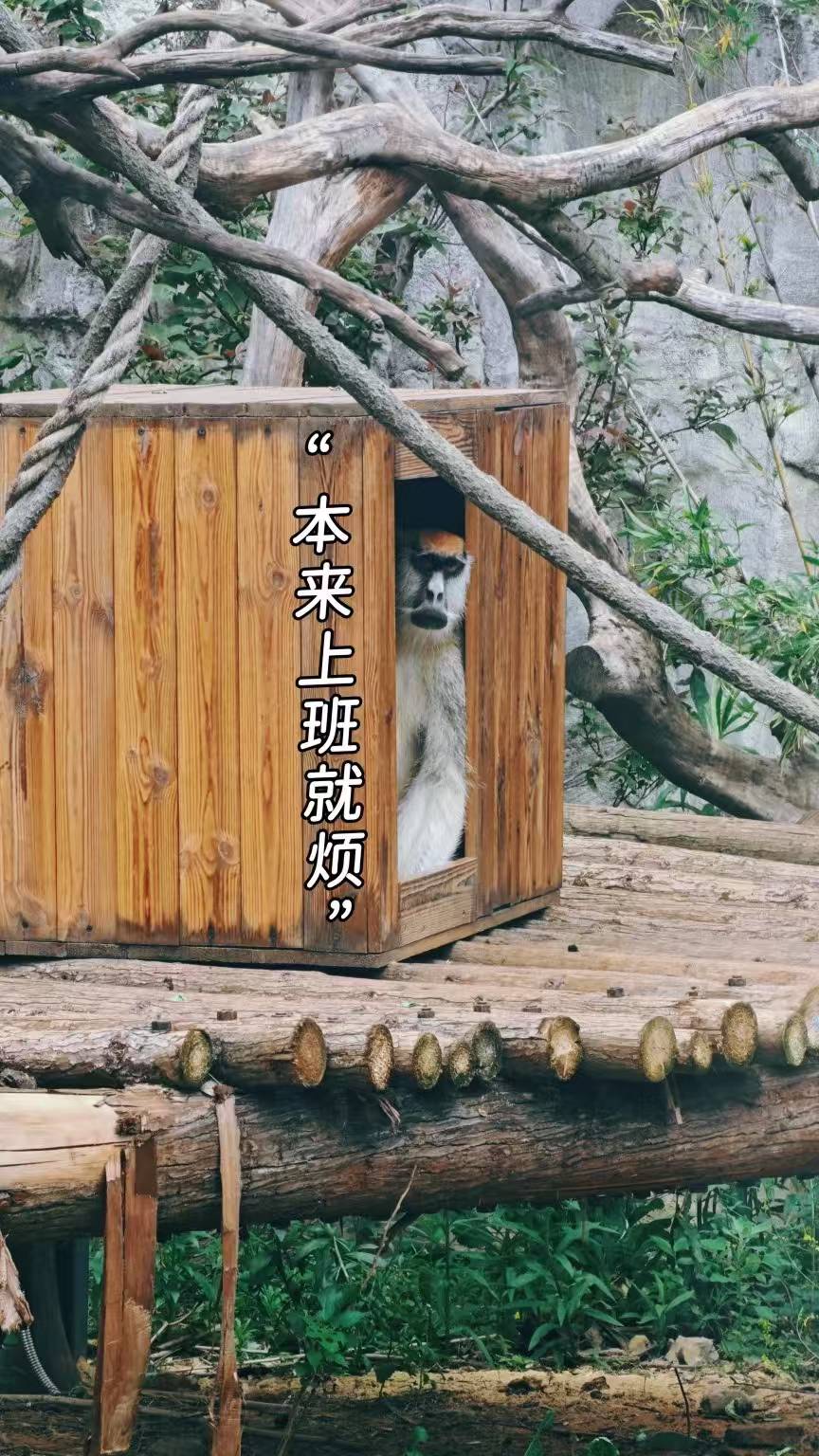 傻