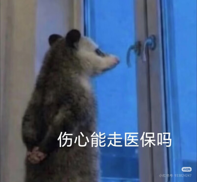 傻