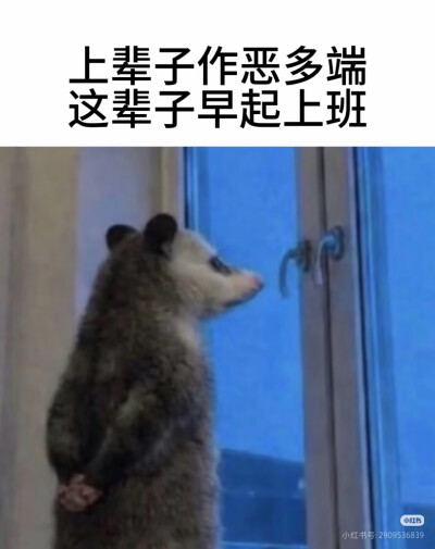 傻