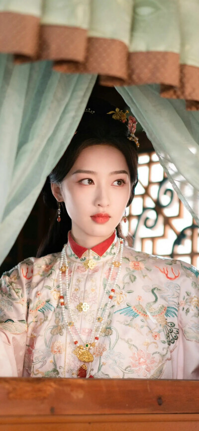 邓恩熙《花开锦绣》傅庭芸