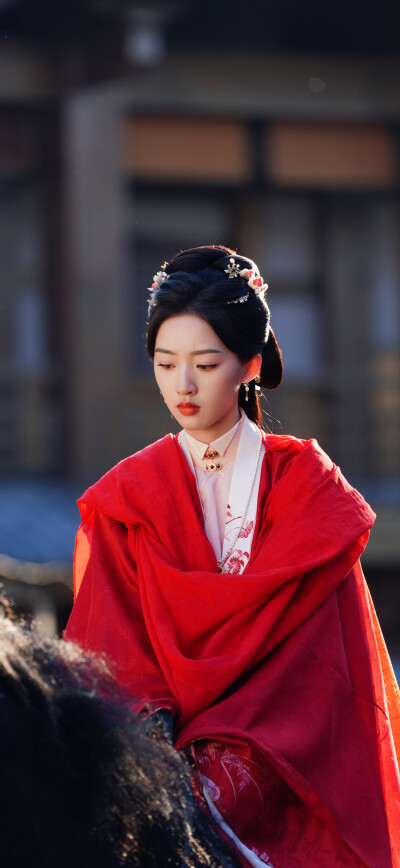 邓恩熙《花开锦绣》傅庭芸