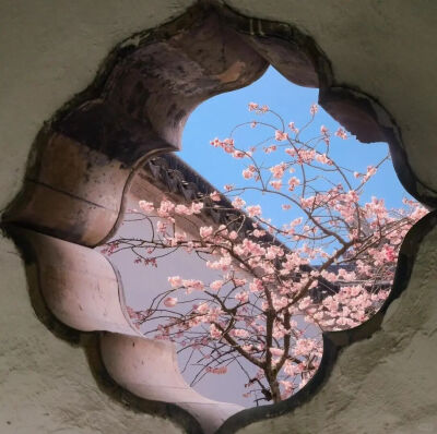 背景图