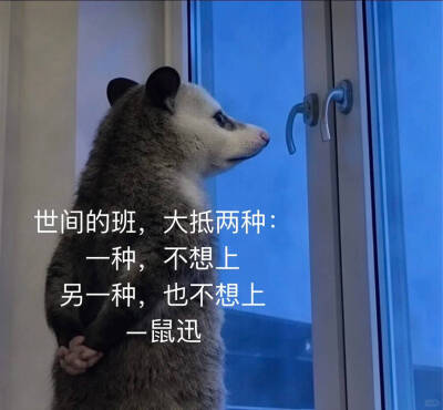 傻