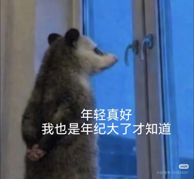 傻