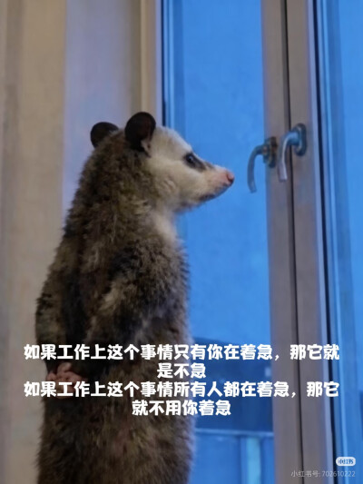 傻