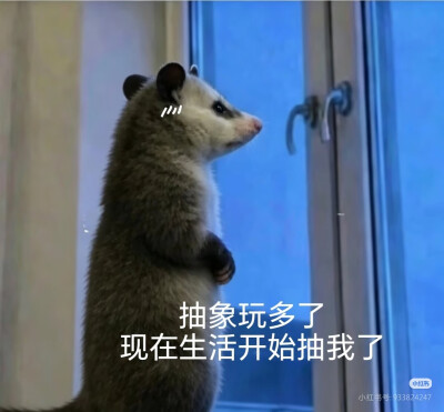 傻