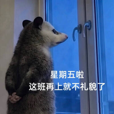 傻