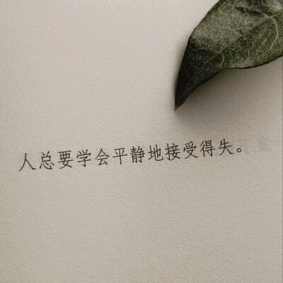 背景图～