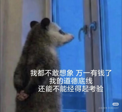 傻
