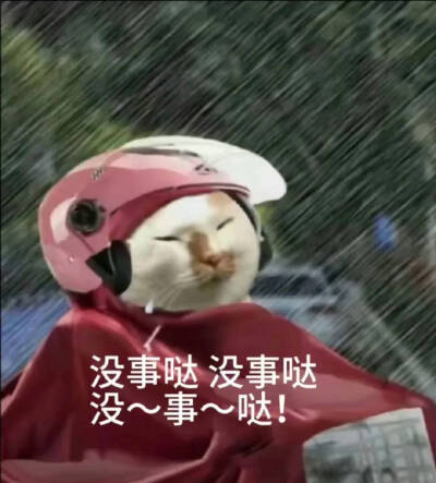 傻