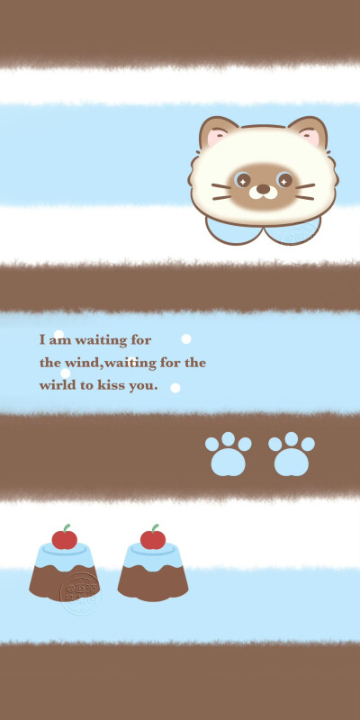 海盐巧克力小猫