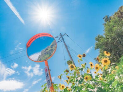 夏天