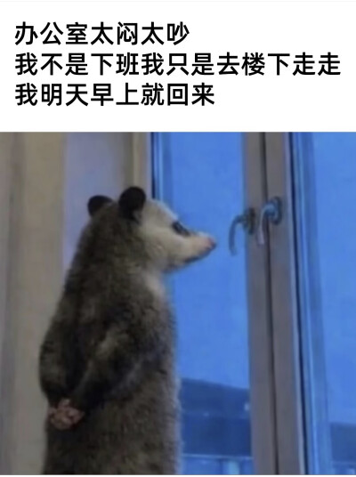 傻