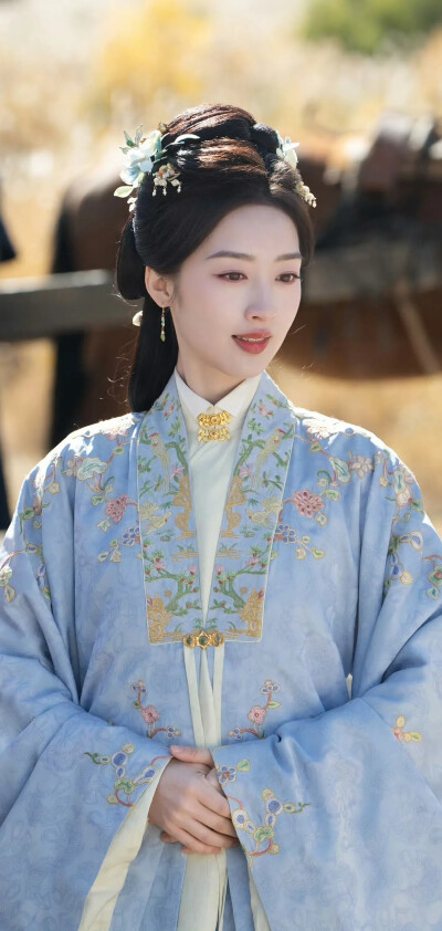 邓恩熙《花开锦绣》傅庭芸