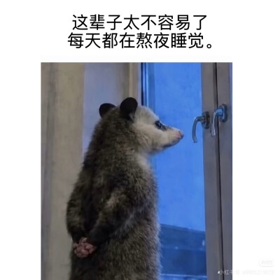 傻