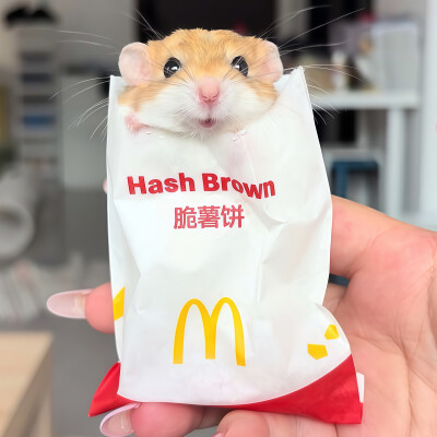 ～