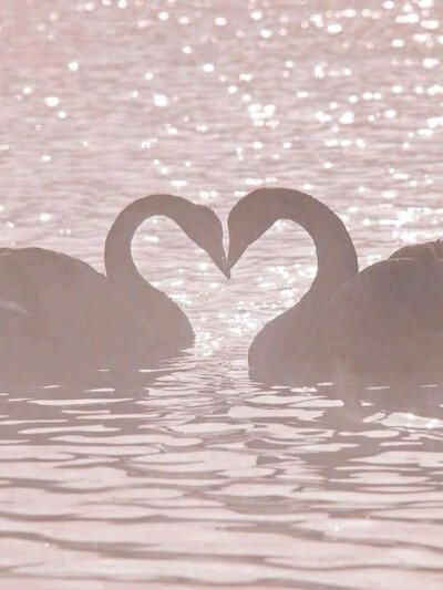 lovelove