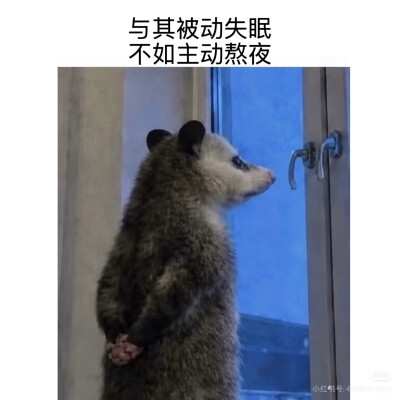 傻