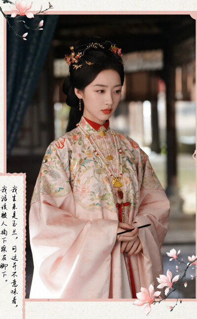 邓恩熙《花开锦绣》傅庭芸