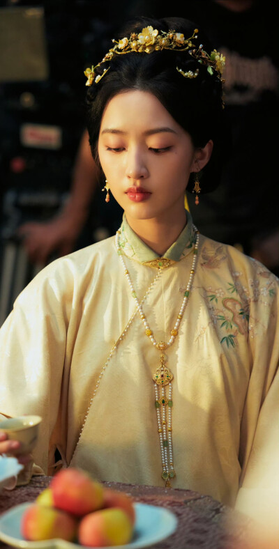 邓恩熙《花开锦绣》傅庭芸