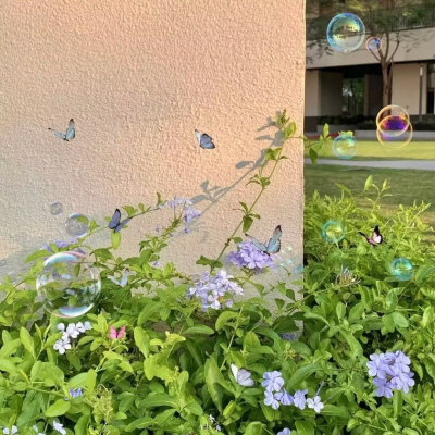 背景图