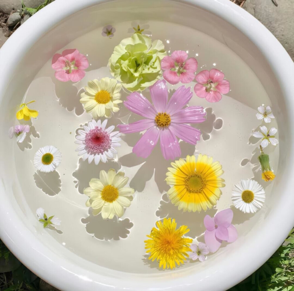 小众背景图