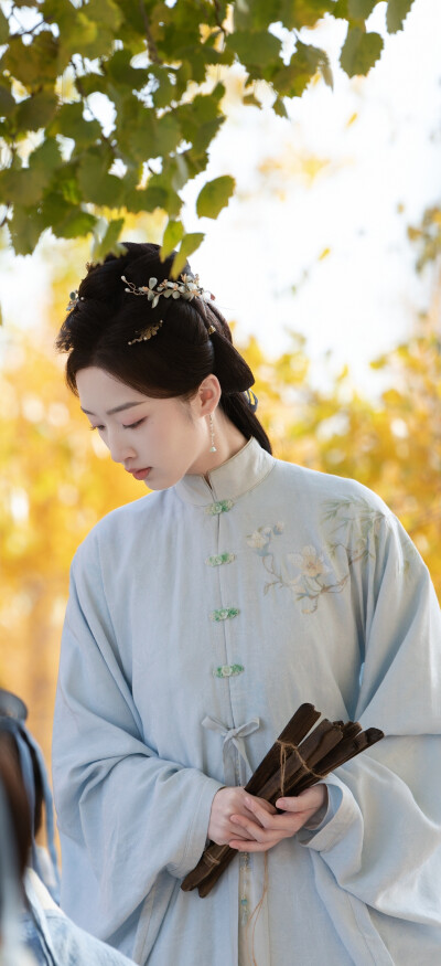 邓恩熙《花开锦绣》傅庭芸