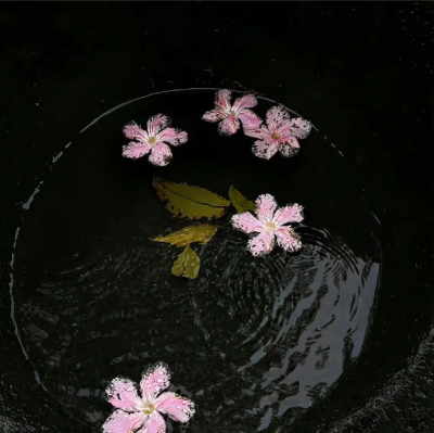 黑色系背景图