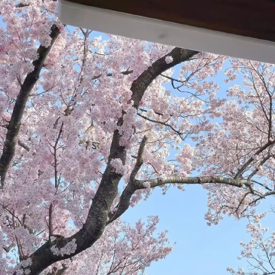 背景图