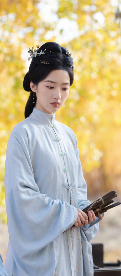 邓恩熙《花开锦绣》傅庭芸