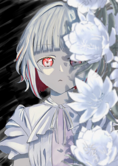 莲