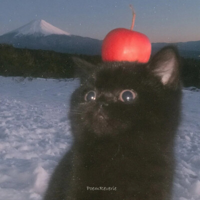 。