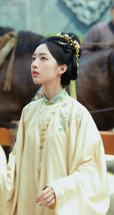 邓恩熙《花开锦绣》傅庭芸