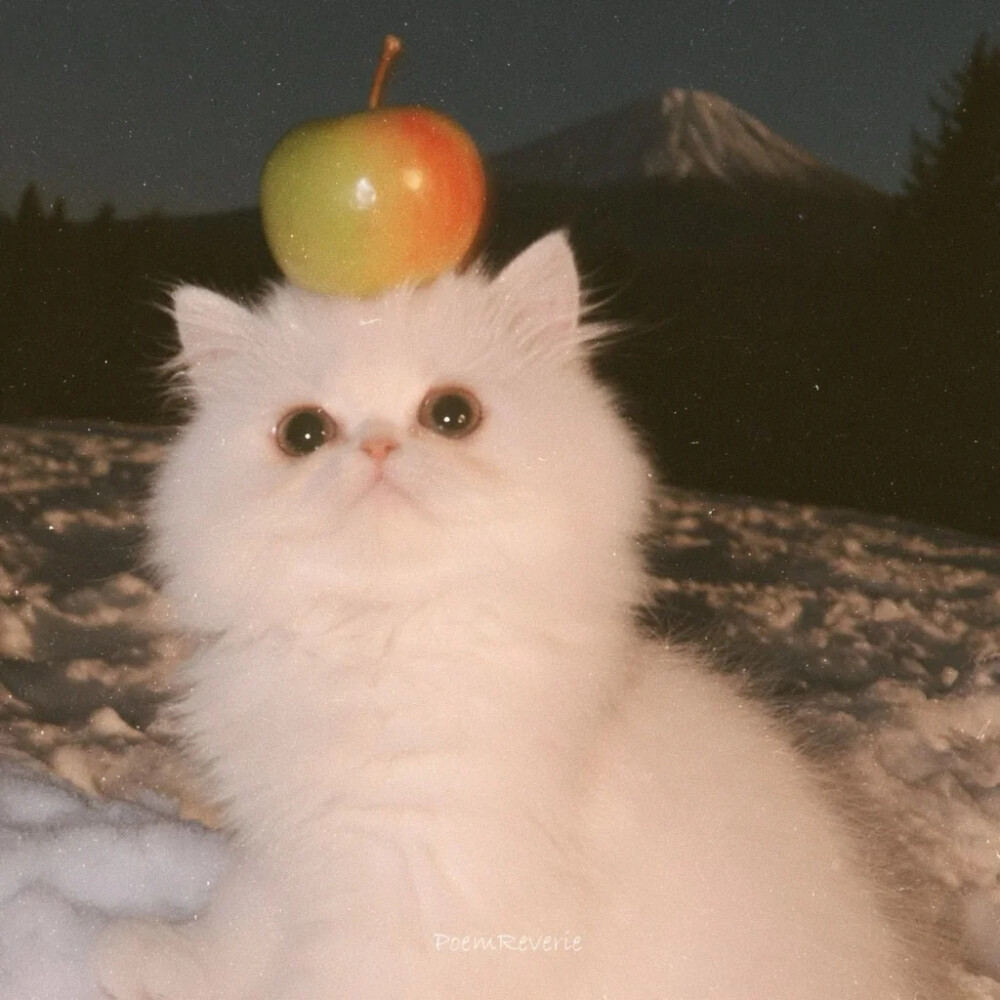 。