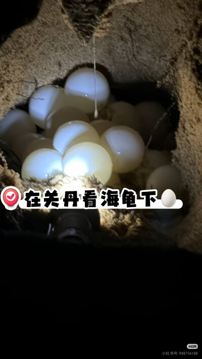 。