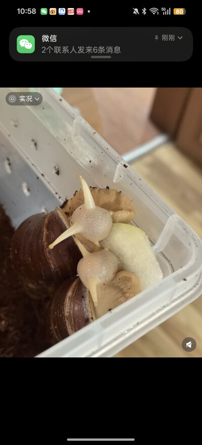 。