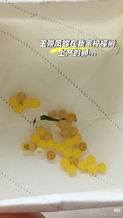 。