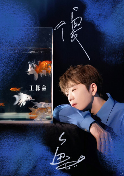 王栎鑫 傻鱼