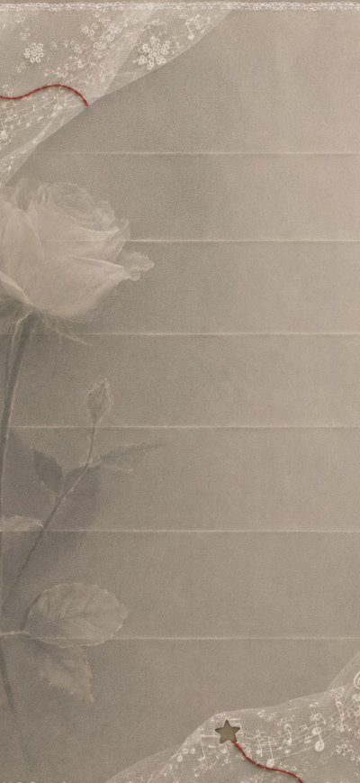 By:橙橙Mood
