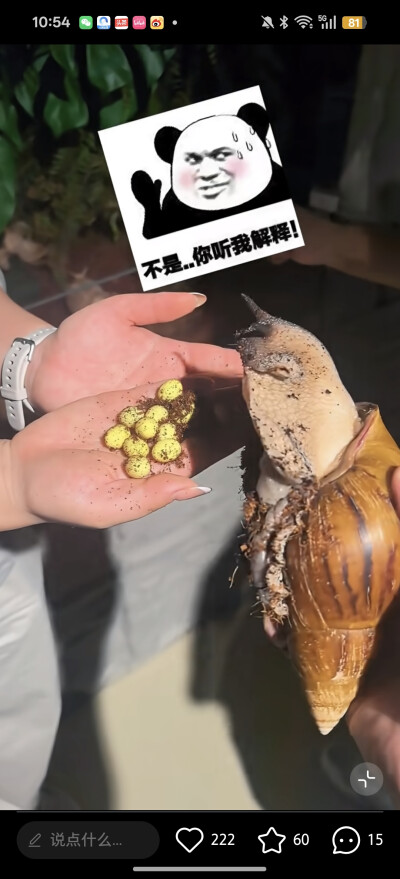 。