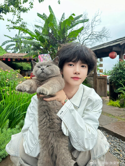 张奕然