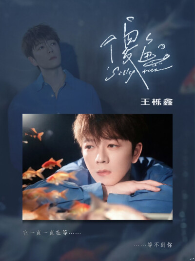 王栎鑫 傻鱼