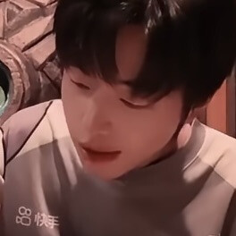一只猪