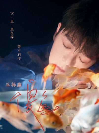 王栎鑫 傻鱼